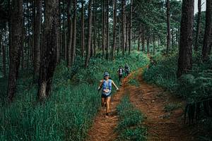 BIB: 
                            <button type="button" onclick="openModal(25659979)" class="btn btn-primary btn-sm float-right btn-popup" data-toggle="modal" data-target=".modal-high-quality">
                        <i class="fas fa-shopping-cart"></i> Add to Cart
                    </button>
                                            <button type="button" onclick="isThisMe(25659979, true)" class="btn btn-success btn-sm float-right btn-popup btn-isme hidden" data-toggle="tooltip" data-placement="bottom" title="นี่คือรูปของคุณใช่ไหม คลิกที่นี่เพื่อเอาเข้าอัลบั้ม">
                        <i class="fas fa-plus"></i> Add to album
                    </button>
                    <button type="button" onclick="isThisMe(25659979, false)" class="btn btn-warning btn-sm float-right btn-popup btn-isnotme hidden">
                        <i class="fas fa-ban"></i> Remove from album
                    </button>